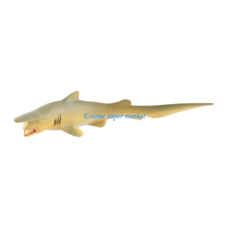 090B ปลา Moray รุ่นสัตว์ทะเลที - Science Exhibition Models บทวิจารณ์และราคา