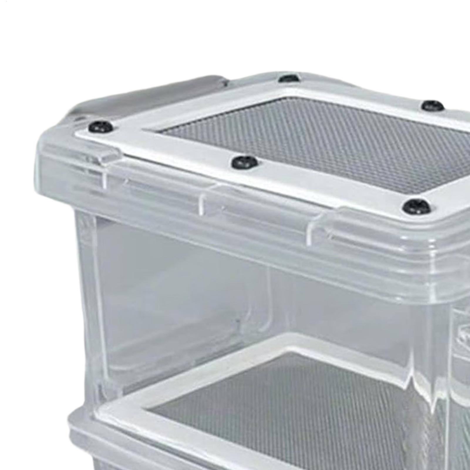 ชุดเลี้ยงหนอนนกอินทรี 3 ชั้น ก - Science Hobbyist บทวิจารณ์และราคา